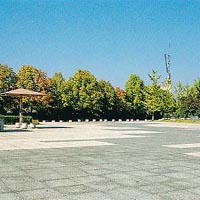 いこいの森広場写真